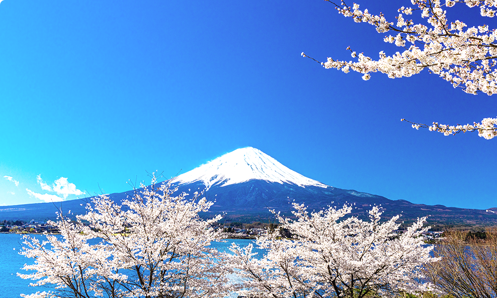日本の生活サポート
